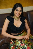 Nikki Tamboli Gallery